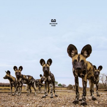Cover cd balthazar   fever