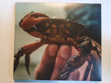 Front cd the suitcase   pictures   0806802152936