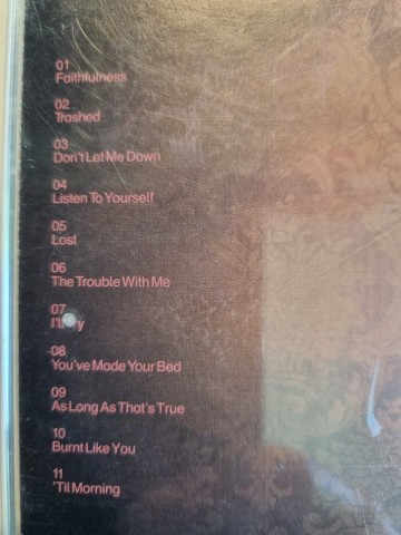 Tracks cd skin   fleshwounds   0724358425024