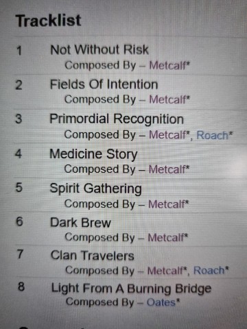 Tracks dgs cd byron metcalf   not without risk   0733792361225