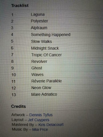 Tracks dgs cd miaux   hideaway  dive