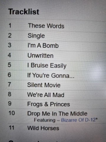 Tracks dgs cd natasha bedingfield   unwritten   0828766399929